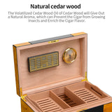 Boîte Hydratante pour Cigares de Grande Capacité, Cèdre Multicouche, 150 Pièces Cigarloong