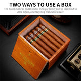 Coupe-Cigare de Bureau de Luxe, Ciseaux Inox, 4 Trous, Guillotine Boîte en Bois Cigarloong