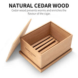 Boîte à Cigares en Bois de Cèdre Naturel Non Peint, 30 Cigares Cigarloong